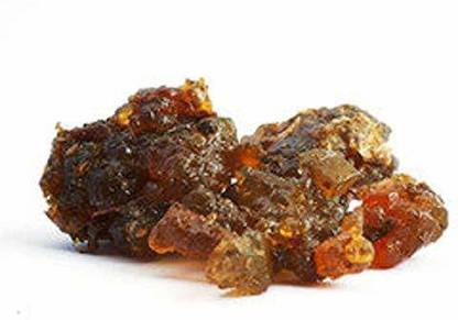 Nutrixia food Guggal, Commiphora wightii Seed