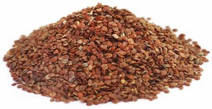 Nutrixia food Talmakhana , Taal Makhana , Kokilaksha Beej , Asteracantha Longifolia Seed