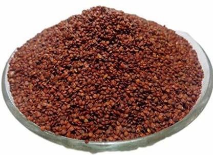 Nutrixia food Lajwanti, Sensitive Plant,Mimosa pudica Seed