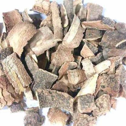 Nutrixia food Kuda Chhal , Kutaj Chaal, Holarrhena Antidysenterica Seed