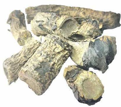 Nutrixia food Pashanbhed Lakdi , Pashan Bhed Root ,Pakhanved Jadd , Bergenia Ligulata Seed