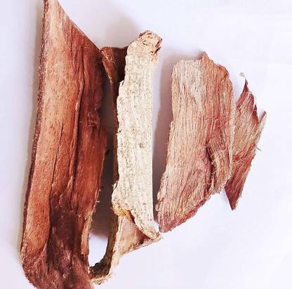 Multi Bazar Rakt Rohida - Tecomella Undulata-(Rohitak Chhal) -(500 Gms) Seed