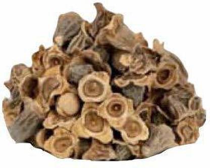 Nutrixia food Bay Khumba - Careya Arborea-Vakumbha-Kumbhi-Baikhumba