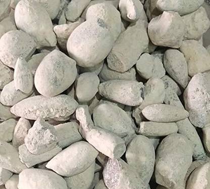 Nutrixia food Ber Pathar,Fossil Encrinite Seed