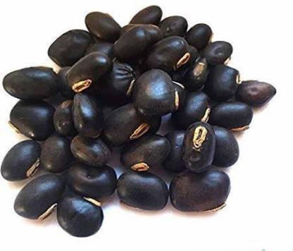 TAMRANSH Kaunch Seeds Seed