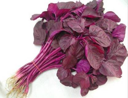 Sjeme Organic Red Amaranth Leaf Seed- 55 Seed