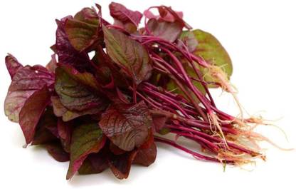Sjeme Amaranth Seed