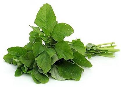 Sjeme Green Amaranth Leaf Seed- 180 Seed