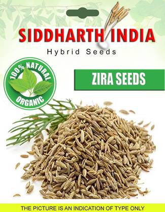 SIDDHARTH ZIRA ORGANIC Seed