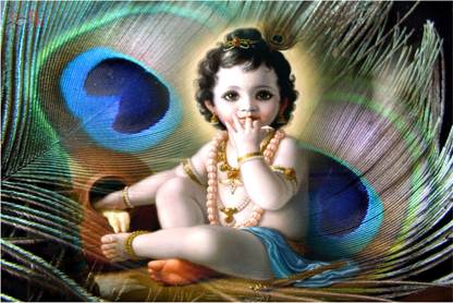 God Krishna ji Flex Poster for Room B51 Paper Print