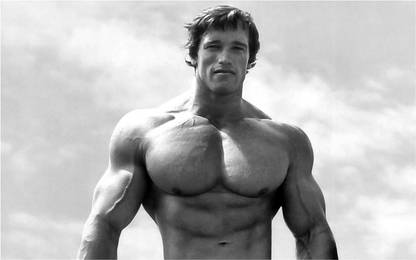Arnold Flex Poster for Room B34 Paper Print