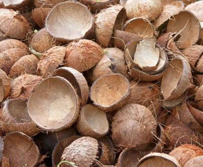 Mats Avenue Natural Coconut Shells, Manually Extracted for DIY Handicraft,Seed Germination, for Natural Charcoal as Seedling Cup, Indoor Plants and Many More 30 Numbers Model Building Kit