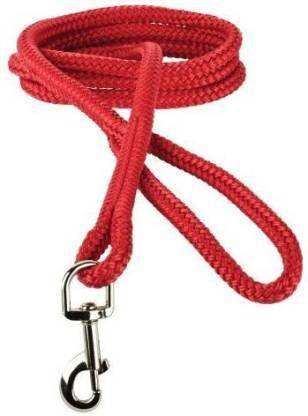 DHATRI TOOLS 160 cm Dog Martingale Leash