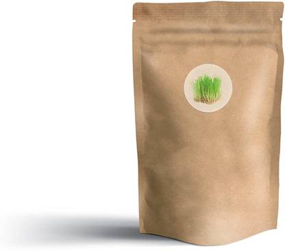 VibeX Wheat Seeds Seed