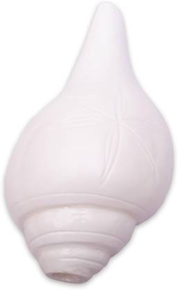 aswathseashell Vamavarthi Shank/Blowing Shank/Sound Making Shank 6-7 inches Blowing Shankh