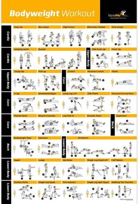 Bodyweight Exercise Poster - Total Body Workout - Personal Trainer Fitness Program for Women - Home Gym Poster - Tones Core, Abs, Legs, Gluts & Upper Body - Improves Training Routine - 20x30 Paper Print