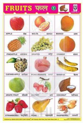 FRUITS CHART NO.1 CHART [Wall Chart] INDIAN BOOK DEPOT (MAP HOUSE ...