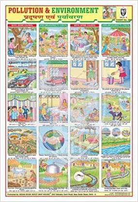 ENVIRONMENT (POLLUTION CHART) CHART [Wall Chart] BOOK DEPOT (MAP HOUSE) Paper Print