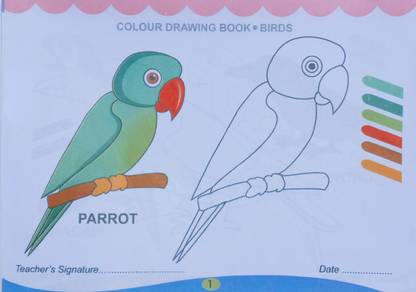 Colour Drawing Book Of Bird's For The Beginners Kid's Guide