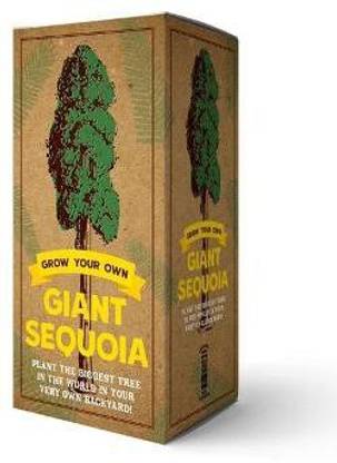The Grow Your Own Giant Sequoia Kit