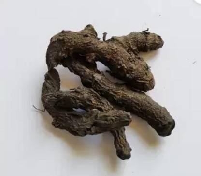 TAMRANSH Kali Haldi/Black Turmeric Seed
