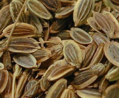 TAMRANSH SUWA SEEDS /DILL SEEDS Seed