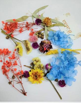 IKALAA Natural Dry Flower (One Box Random) Red Wild Flower Artificial Flower