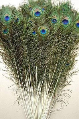 7 CLOUDS INDIA Pack of 15 Decorative Feathers