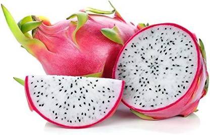 LYRS Natural Mystic Dragon Fruit Seeds- 110 Seed
