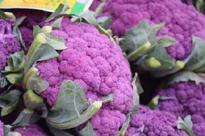 prev Violet Queen Cauliflower Seed- 45 Seed