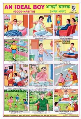 AN IDEAL BOY (GOOD HABITS) CHART [Wall Chart] INDIAN BOOK DEPOT (MAP HOUSE) Paper Print