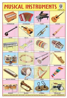 MUSICAL INSTRUMENTS CHART [Wall Chart] INDIAN BOOK DEPOT (MAP HOUSE) Paper Print