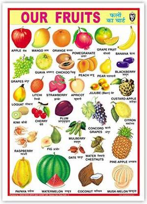 Our Fruits Chart Without Pvc Rollers Educational Chart Classroom Chart School Chart [Wall Chart] Indian Book Depot Paper Print
