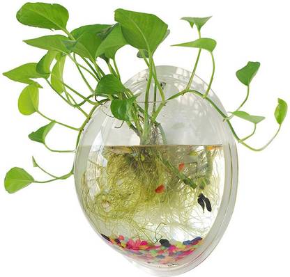 Petzlifeworld 15 Inch Acrylic Wall Hanging Bowl for Fish and Plants Round Ends Aquarium Tank
