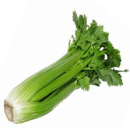 Antier celery seeds Seed