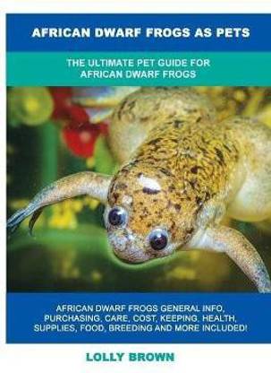 African Dwarf Frogs as Pets