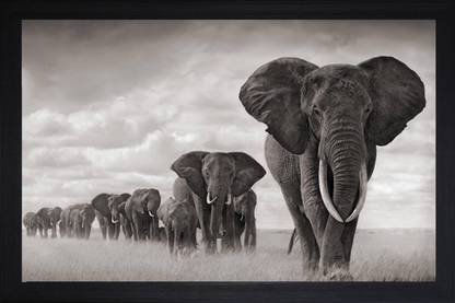 K K CREATIONS Elephant Photo Frame Digital Reprint 10 inch x 8 inch Painting