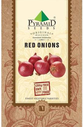 Pyramid onion, Pyaj Seed