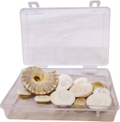 Ekaant Sacred Gomti Chakra, set of 11 Gomati Chakra | Shubh Lakshmi Yantra | brings peace, wealth and prosperity at work environments and home | Laxmi Gomati Chakra Stoneware Yantra