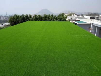 Pushpa Garden Grass Plant Seed