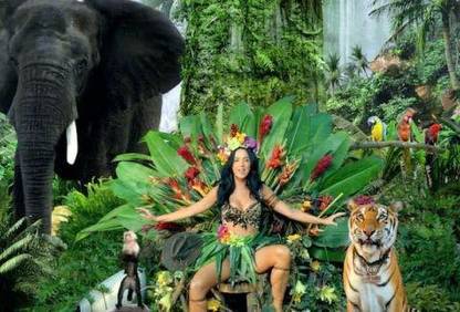 Katy Perry Roar Background Poster 12 x 18-INCH Paper Print