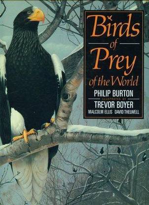 BIRDS OF PREY