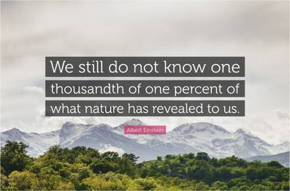 Albert Einstein 'Nature' Quote Poster Paper Print Paper Print