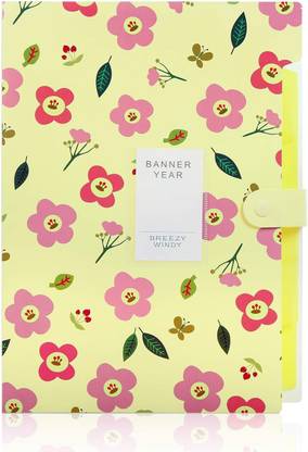 Corslet File Folders for Documents Large Size Files and Folders Document Holder File Folder Certificate Holder Multicolor with 5-Pockets, Snap Closure ,School and Office A4 File Folder