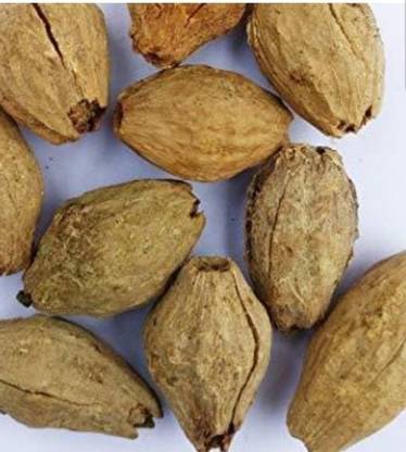Sjeme Neem Melia Dubia Neem Malabar Seed Seed