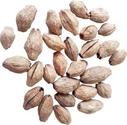 Sjeme Neem Wood Tree Neem Malabar Seed Seed