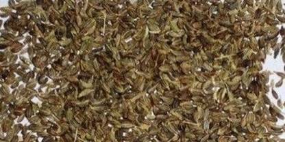 VINARGHYA Alisun Seed