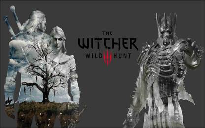 The Witcher Game Wall Poster For Room With Gloss Lamination M29 Paper Print
