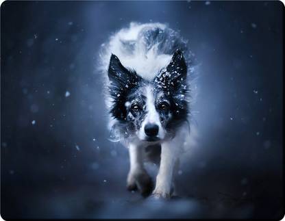 HOMYA Border Collie Design 3D Print High Resolution Mousepad