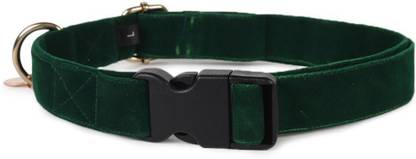 Heads Up For Tails HUFT Velvet Dog Collar - Dark Green Dog Everyday Collar